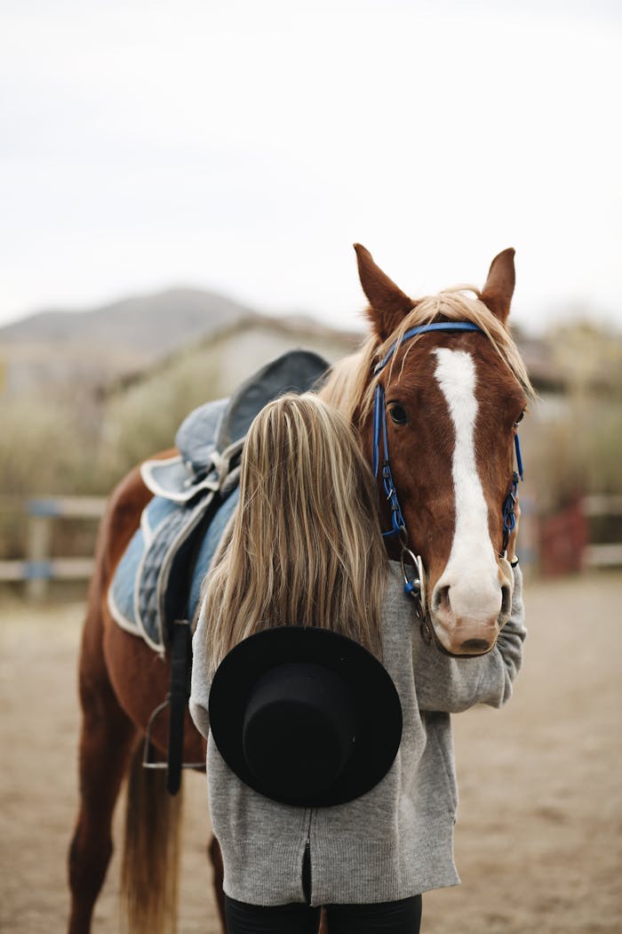 A woman embracing a horse with a saddle outdoors, showcasing friendship and connection.